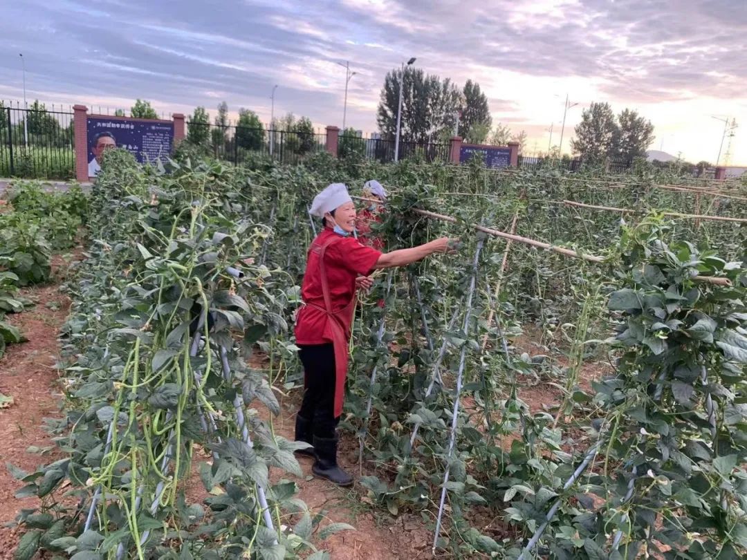 喜讯！兴业源服务“学校自种菜”创新案例入围中物协“微创新”案例名单